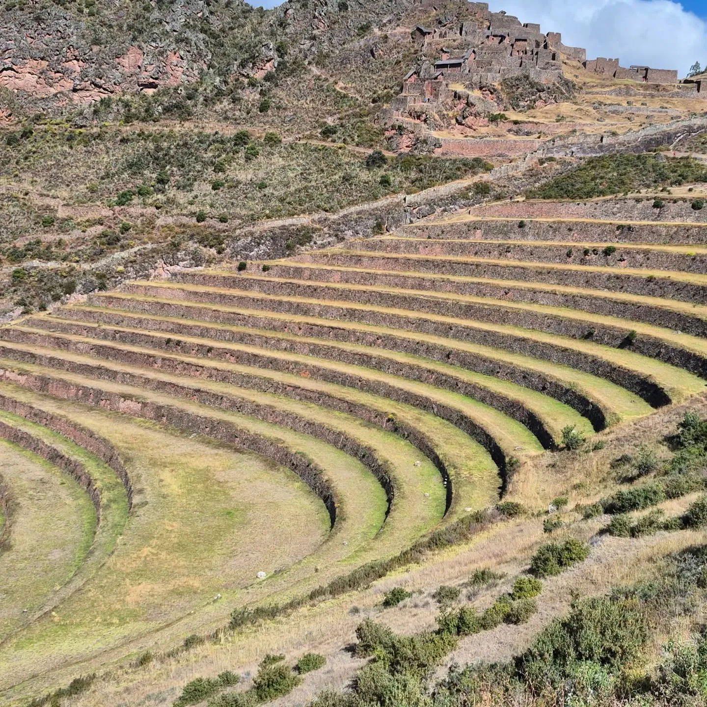 Terraços agrícolas incas em curva numa encosta dos Andes