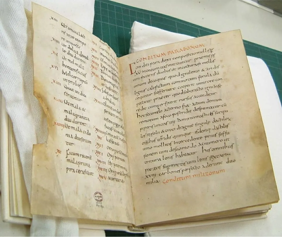 Manuscrito medieval aberto do livro de receitas de Apício, com títulos em vermelho